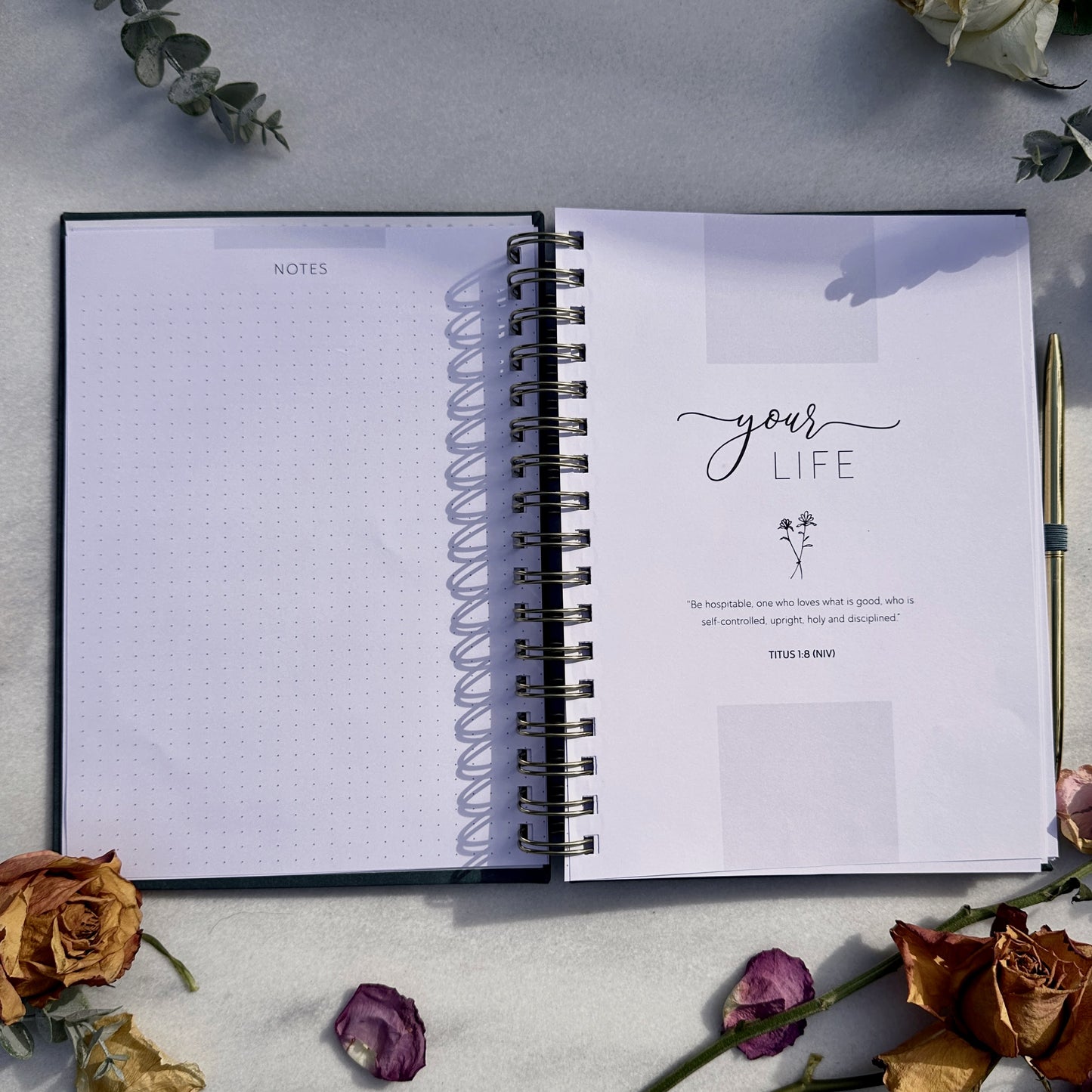 Buy Two Gift Two Bundle!